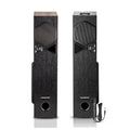 Refurbished Tower Speaker Rock & Roll TSP by Blaupunkt (Black)
