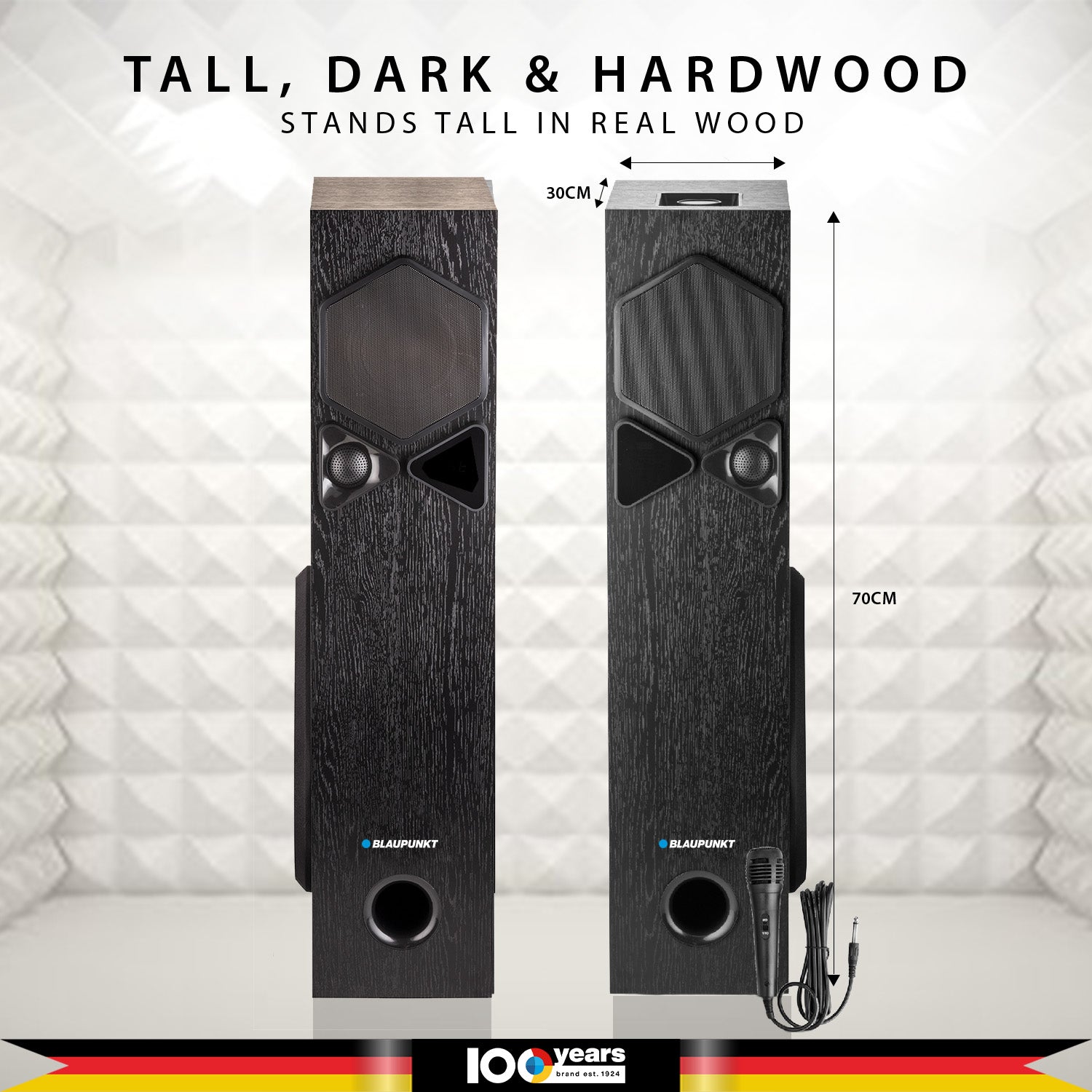 Refurbished Tower Speaker Rock & Roll TSP by Blaupunkt (Black)